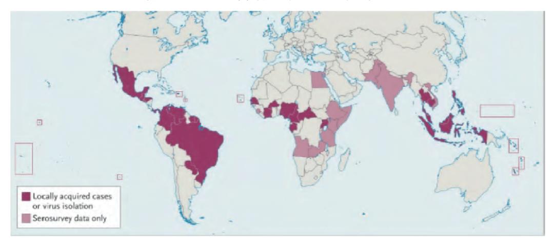 英国疫情专家，英国疫情发言人-第6张图片-优品飞百科