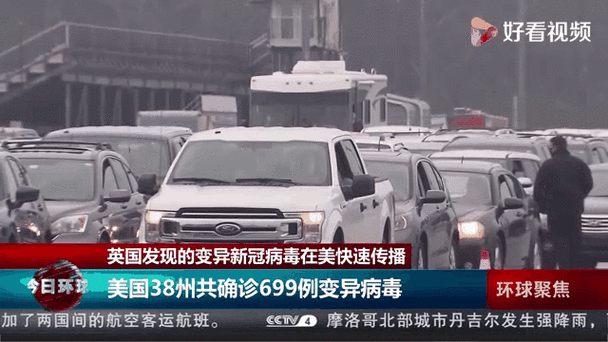 英国疫情专家，英国疫情发言人-第8张图片-优品飞百科