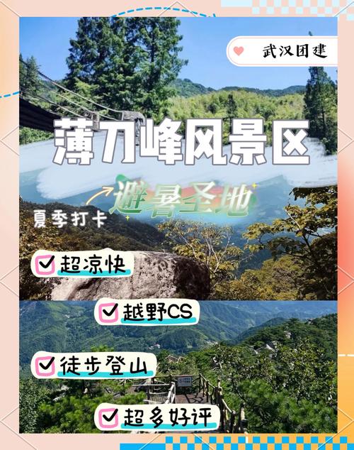 疫情期间梯子？疫情期间安全乘梯须知？-第5张图片-优品飞百科