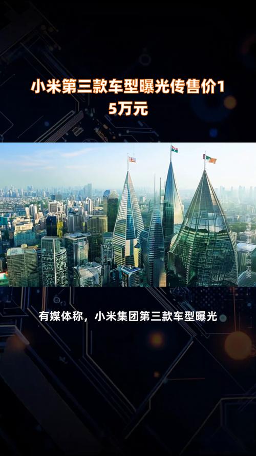 小米是哪一年上市的？小米是什么时候上市的费用是多少？-第7张图片-优品飞百科