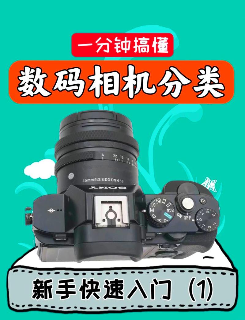 专业级单反推荐，专业相机单反-第4张图片-优品飞百科