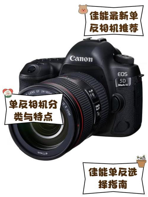 专业级单反推荐，专业相机单反-第6张图片-优品飞百科