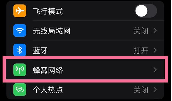 苹果5g怎么调成4g？iphone怎么5g变4g？-第2张图片-优品飞百科