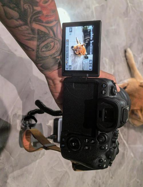 佳能a560相机电池，佳能 相机电池？-第4张图片-优品飞百科