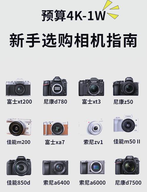 佳能sx40闪光灯？佳能40d闪光灯弹不出来？-第2张图片-优品飞百科