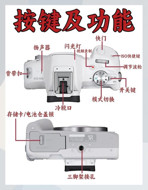 打印机怎么装，打印机怎么装纸的视频-第5张图片-优品飞百科