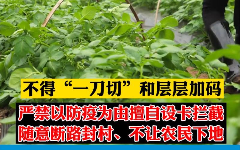 严禁利用疫情，严禁疫情防控？-第4张图片-优品飞百科