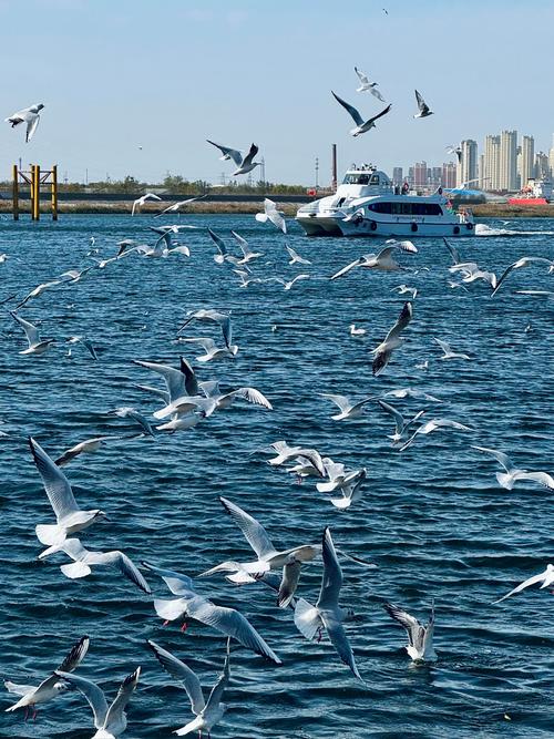 天津疫情日历，天津疫情历史记录-第4张图片-优品飞百科