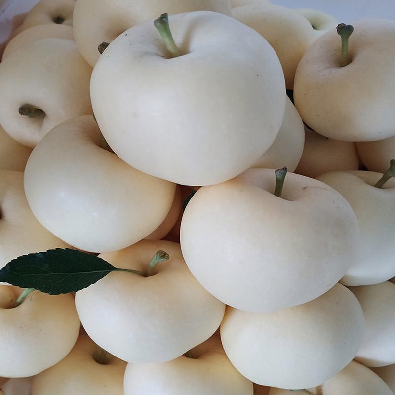 白色苹果是什么品种？白色苹果的功效与作用？-第7张图片-优品飞百科