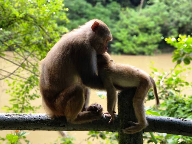 更望湖疫情？更望湖露营攻略？