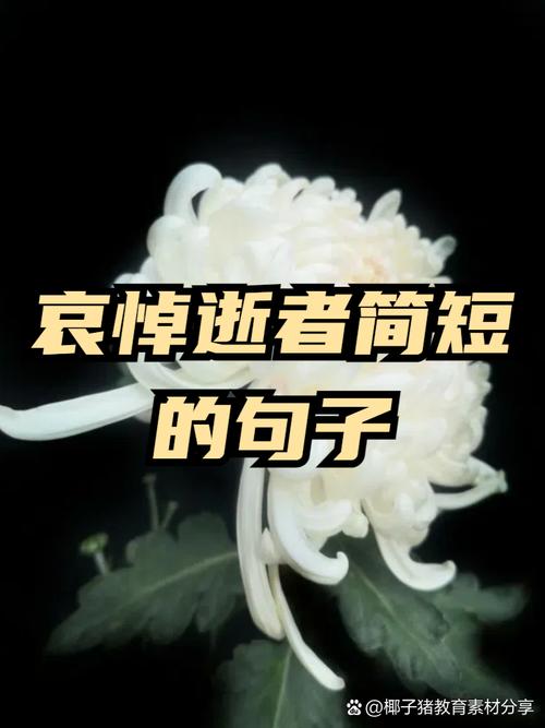 疫情追思英烈，疫情追思英烈事迹？-第4张图片-优品飞百科