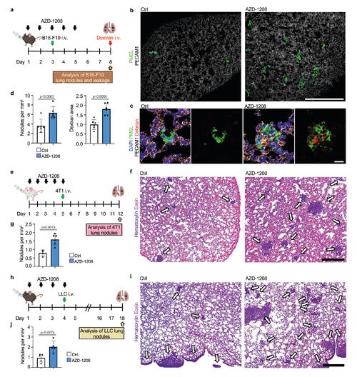 疫情中的负数，疫情中的负数代表什么-第3张图片-优品飞百科