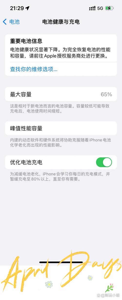 iphone电池最大的是哪一款？iphone电池最大容量是哪一款？-第5张图片-优品飞百科