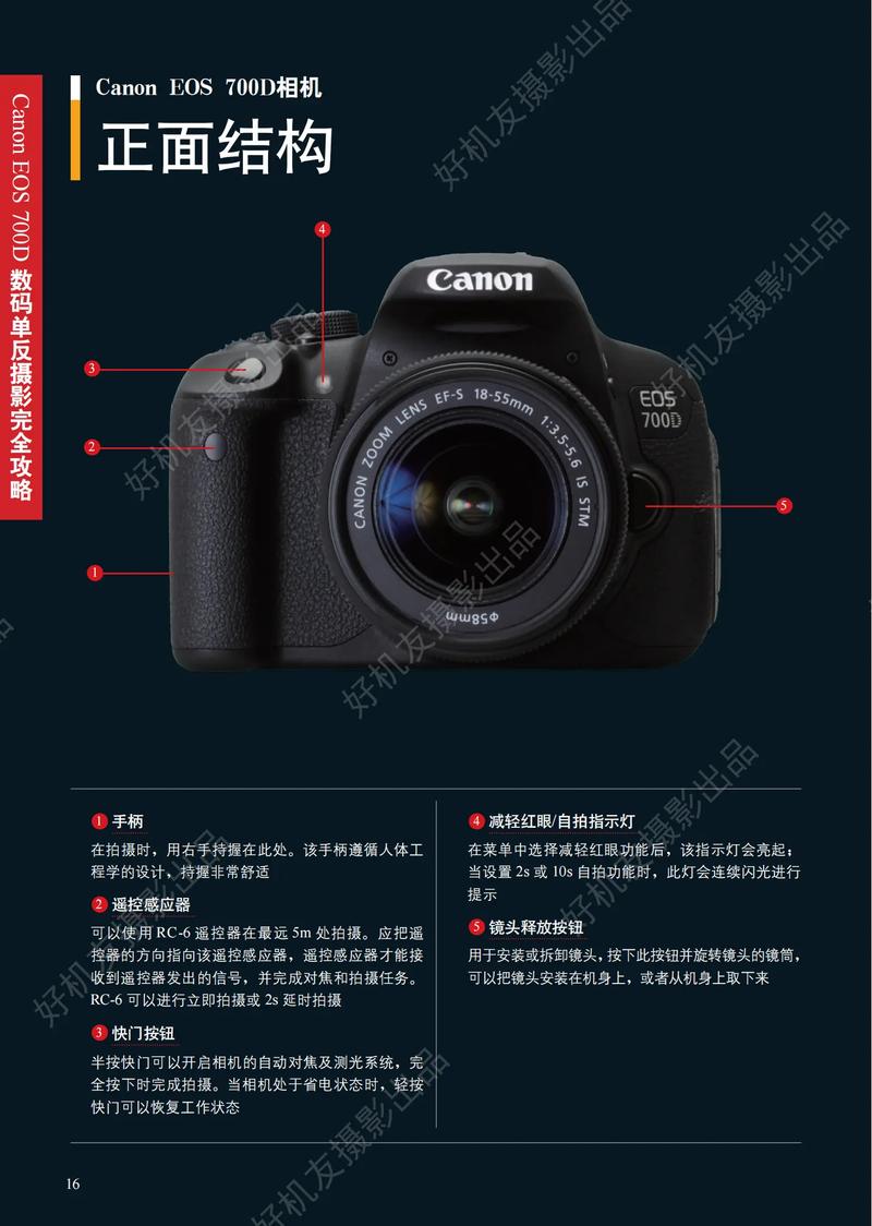 佳能中端单反比较好的是什么，佳能中端机哪个性价比高-第3张图片-优品飞百科