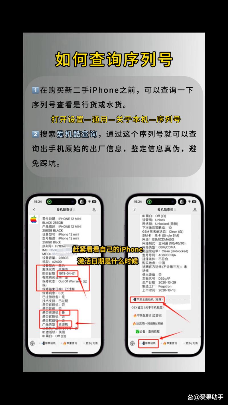 苹果12怎么查询激活日期，iphone 12怎么查激活时间？-第5张图片-优品飞百科