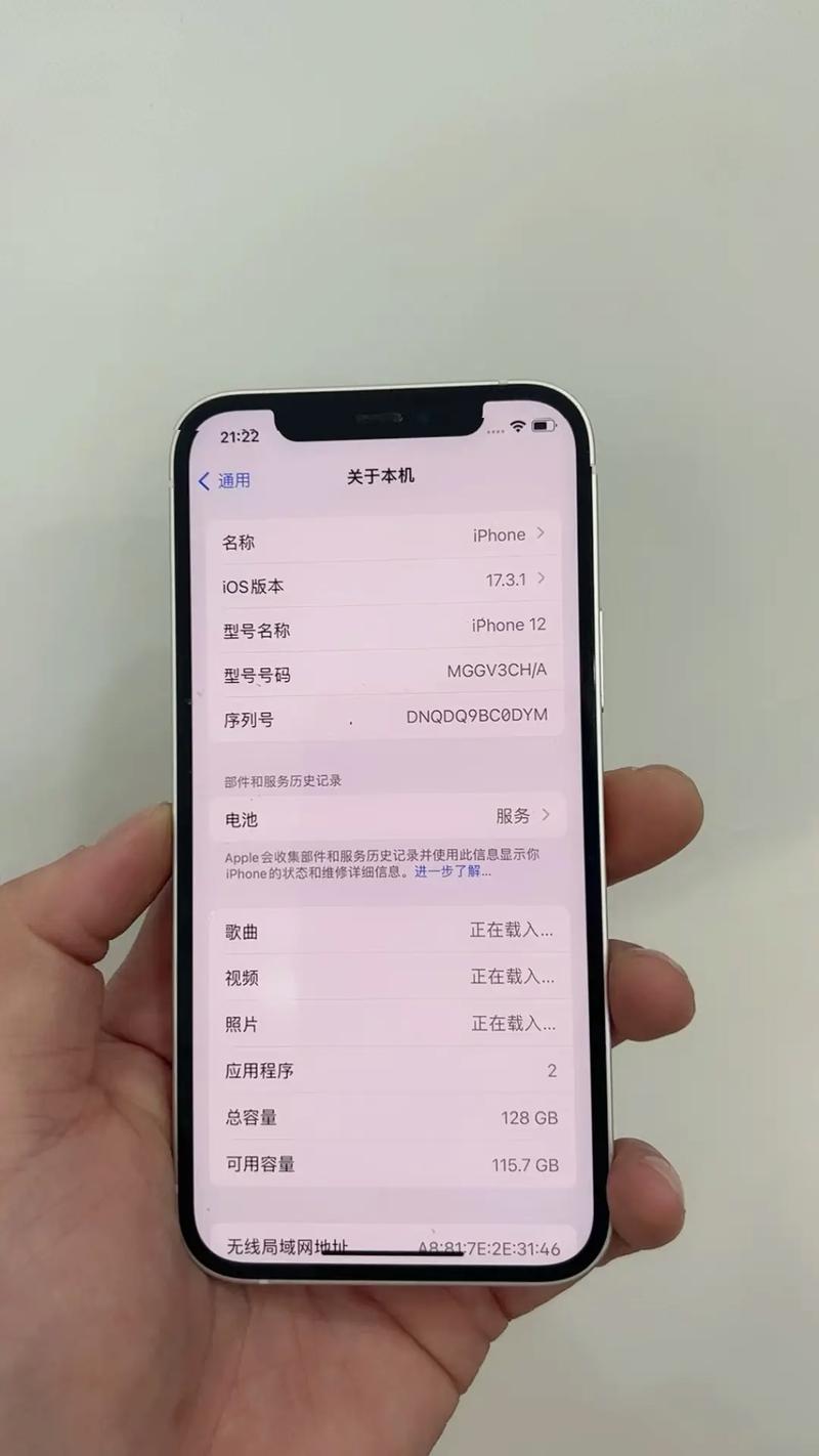 苹果12怎么查询激活日期，iphone 12怎么查激活时间？-第6张图片-优品飞百科
