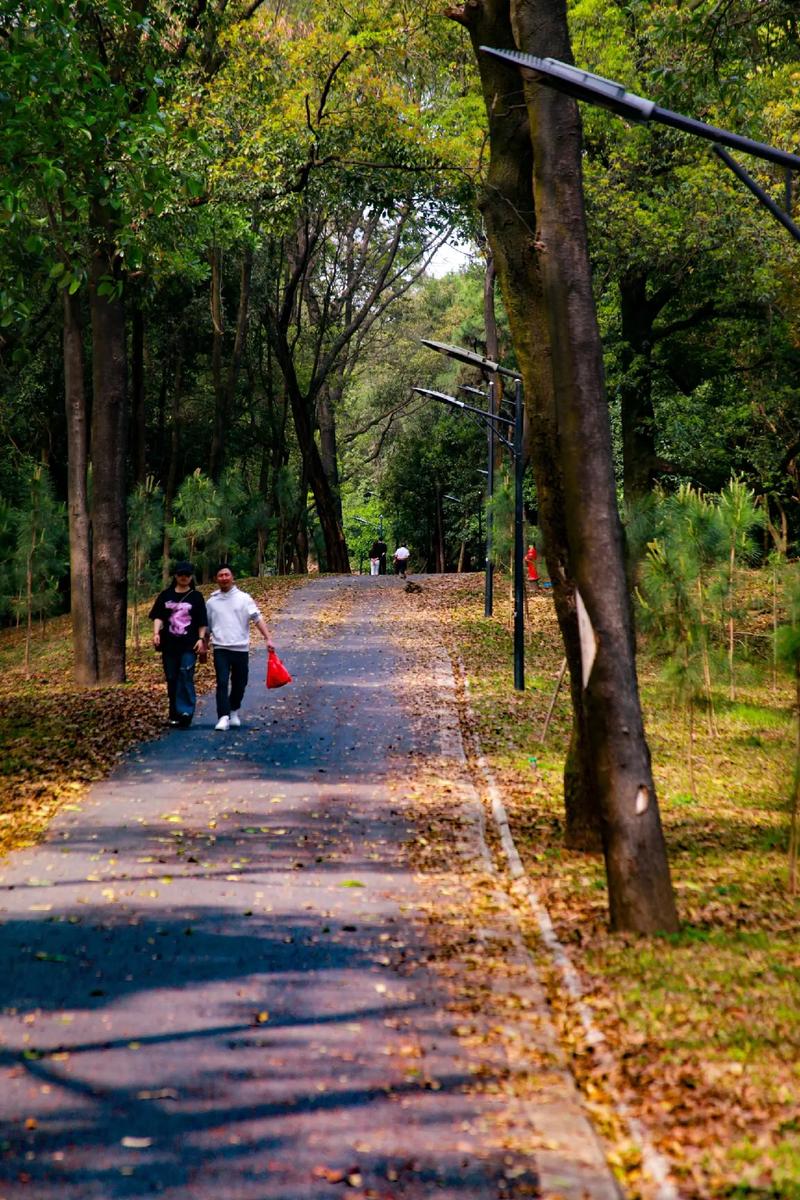 佳能5d2配什么广角镜头好？佳能5d2相机的镜头都有哪些型号？