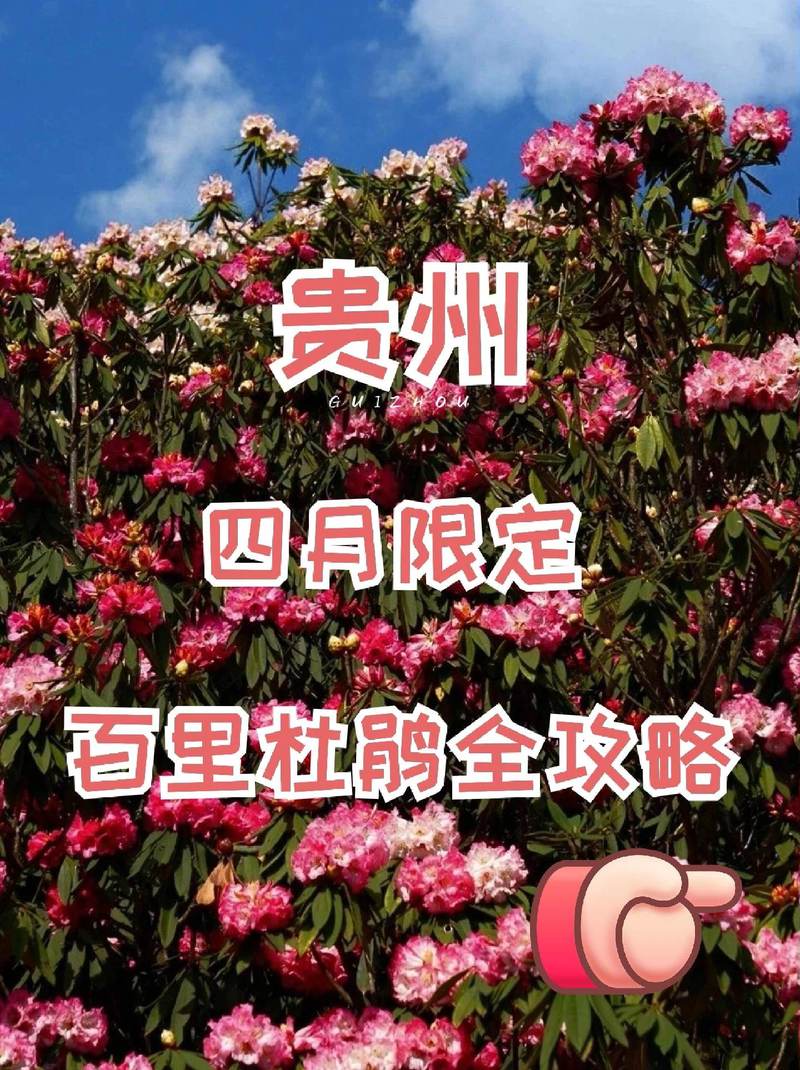 贵州毕节天气预报？贵州毕节天气预报7天一周？-第5张图片-优品飞百科