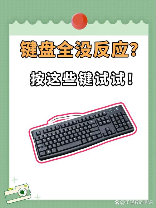 部分键盘失灵按什么键恢复？部分键盘失灵按什么键恢复笔记本？-第5张图片-优品飞百科