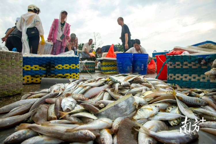 疫情期间渔民？疫情期间钓鱼还能被派出所抓？-第5张图片-优品飞百科