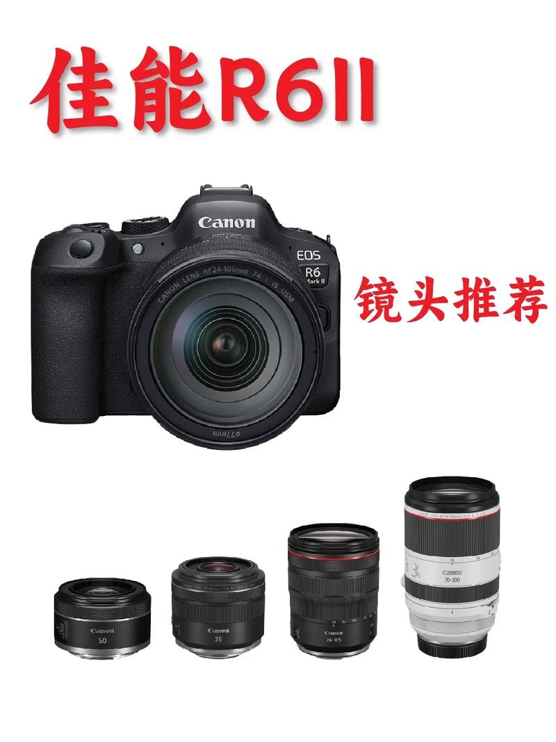 佳能6d2电池型号是什么，佳能6d2的电池型号？