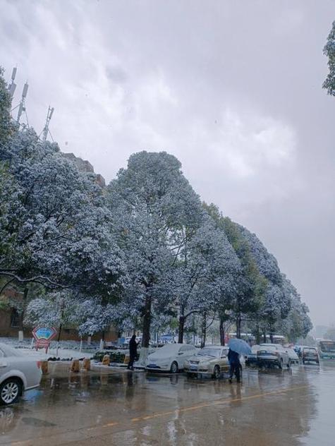 云南怒江天气预报，云南怒江天气情况-第4张图片-优品飞百科