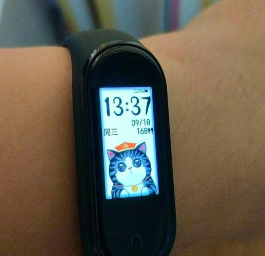 小米手环4多少钱一个，小米4手环价钱？-第2张图片-优品飞百科