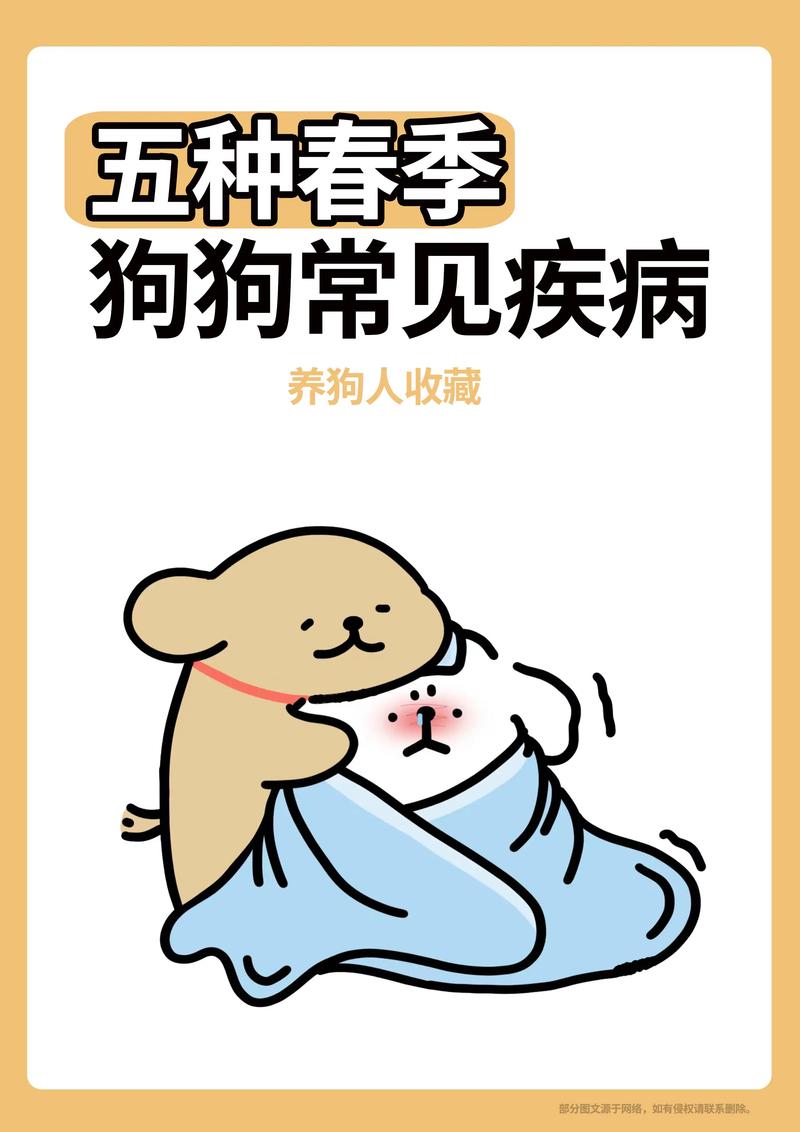 疫情可以养狗？疫情可以养狗吗现在？-第3张图片-优品飞百科