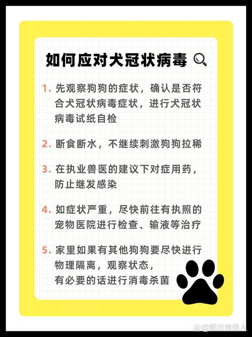 疫情可以养狗？疫情可以养狗吗现在？-第4张图片-优品飞百科