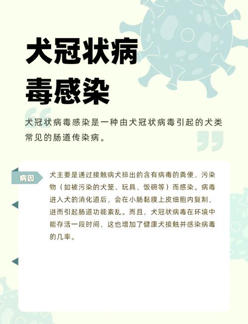 疫情可以养狗？疫情可以养狗吗现在？-第6张图片-优品飞百科