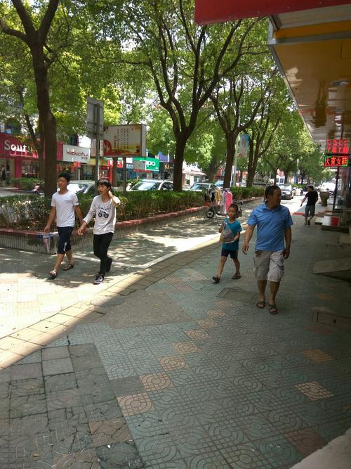 上海奉贤区天气预报，上海奉贤区天气预报15天查询结果电话？-第2张图片-优品飞百科