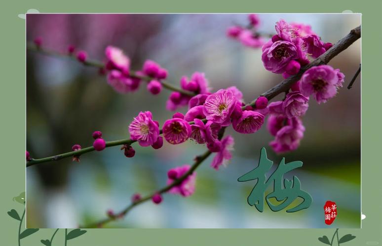 上海奉贤区天气预报，上海奉贤区天气预报15天查询结果电话？-第3张图片-优品飞百科