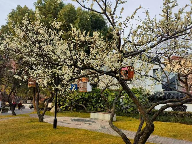 上海奉贤区天气预报，上海奉贤区天气预报15天查询结果电话？-第5张图片-优品飞百科