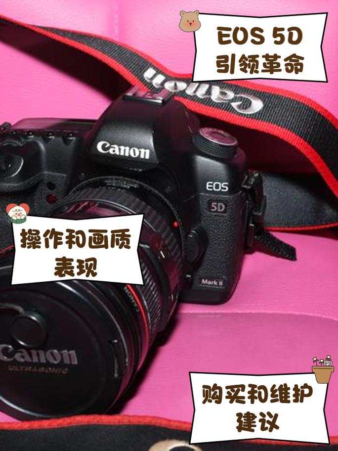 佳能5d一代样片，佳能5d一代样片怎么用？