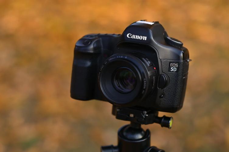 佳能5d一代样片，佳能5d一代样片怎么用？-第3张图片-优品飞百科