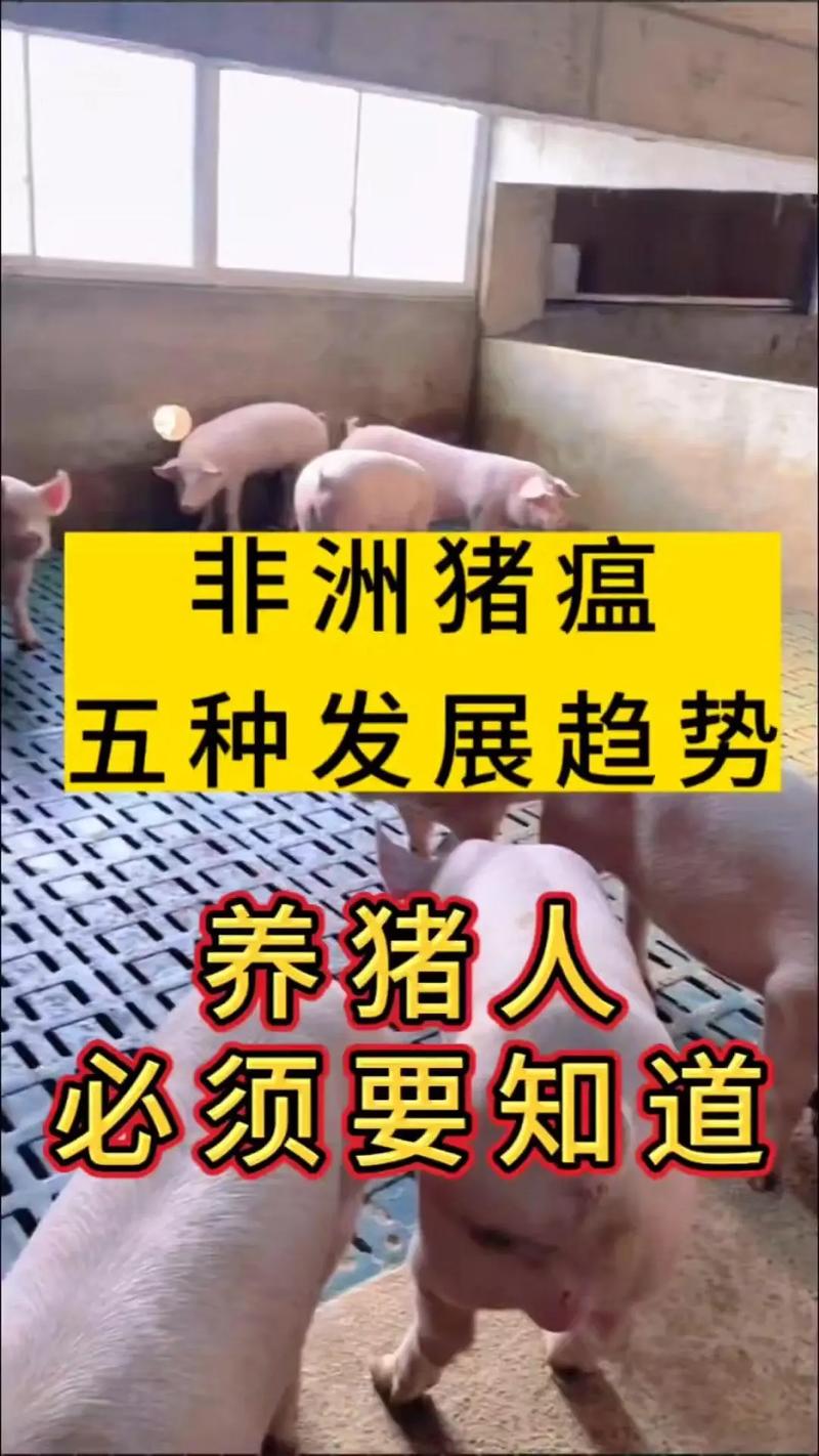 辽宁猪瘟疫情，辽宁一天确诊3起非洲猪瘟疫情 农业农村部强调保障京-第4张图片-优品飞百科