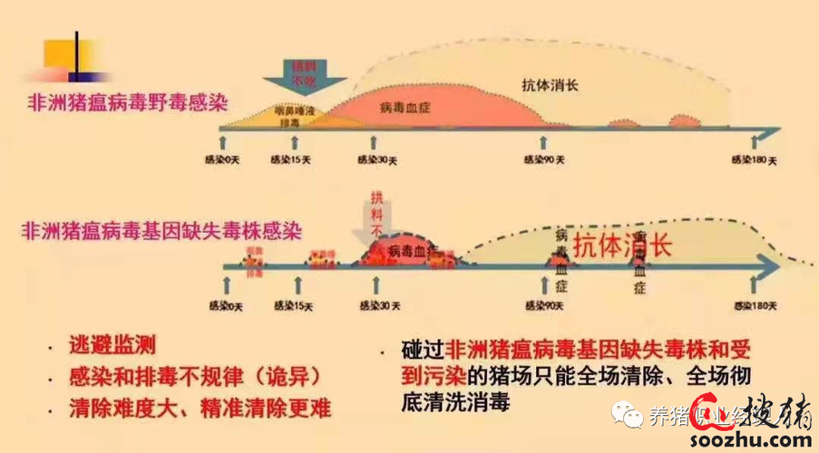 辽宁猪瘟疫情，辽宁一天确诊3起非洲猪瘟疫情 农业农村部强调保障京-第5张图片-优品飞百科