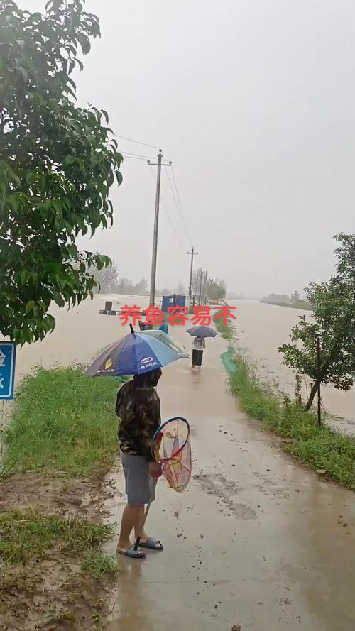 河间天气预报一周，河间天气预报一周30天查询？-第4张图片-优品飞百科