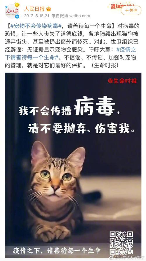 疫情切割画，疫情画手绘-第4张图片-优品飞百科