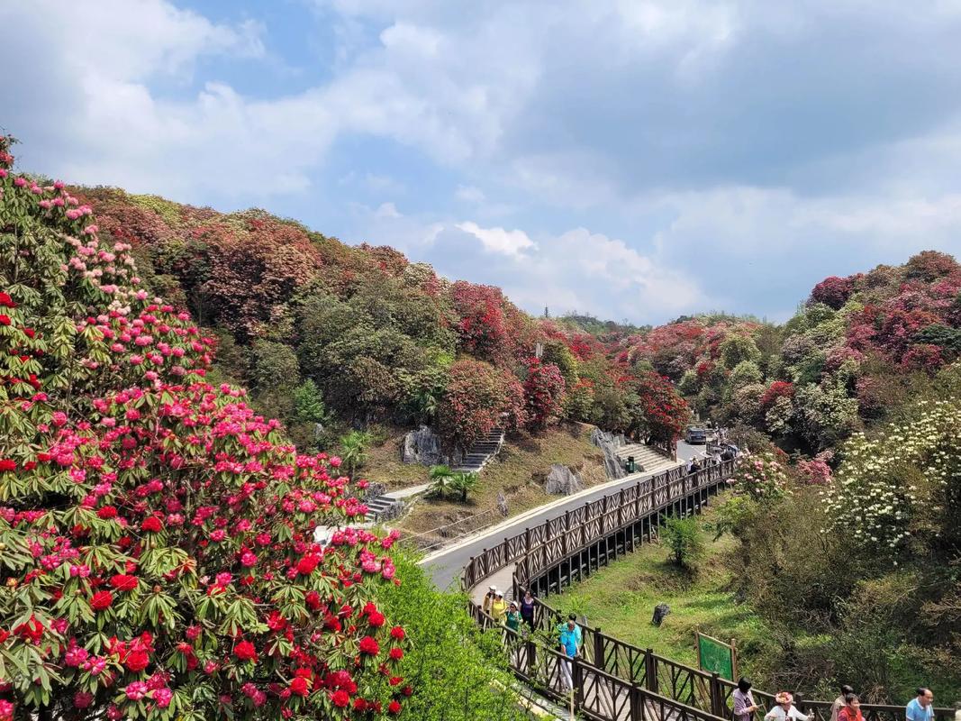 毕节天气预报一周，毕节天气预报一周7天查询表