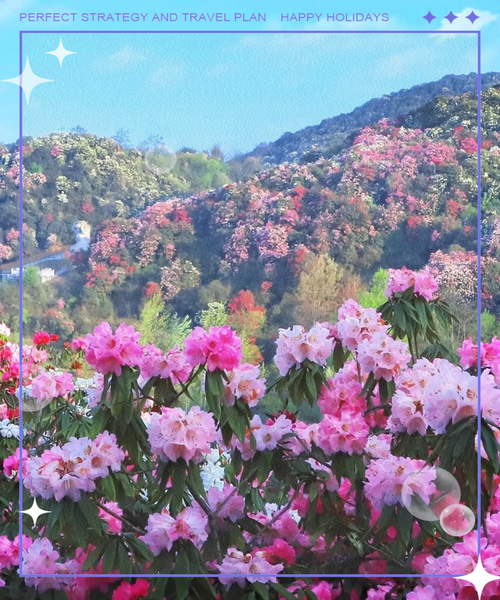 毕节天气预报一周，毕节天气预报一周7天查询表-第2张图片-优品飞百科