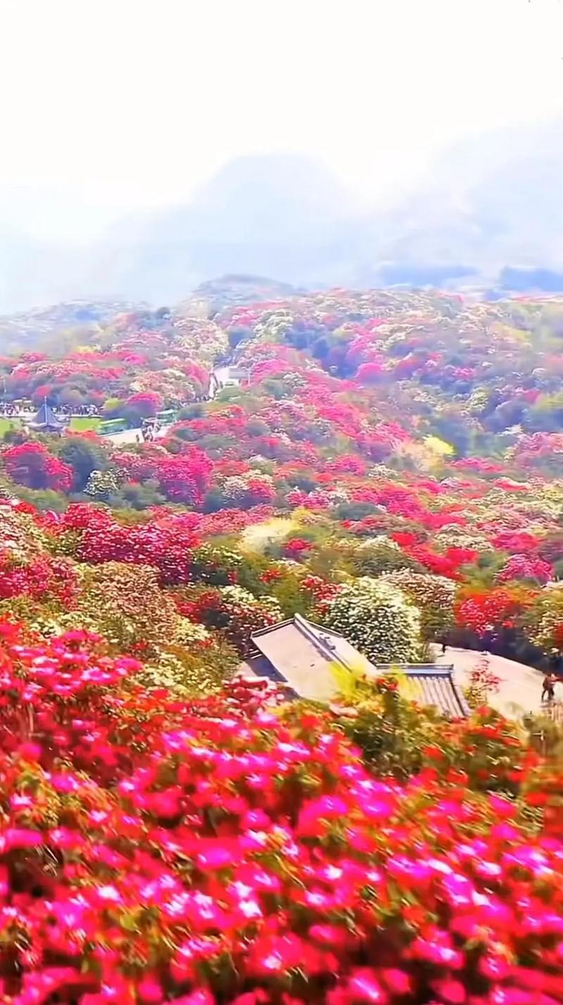 毕节天气预报一周，毕节天气预报一周7天查询表-第7张图片-优品飞百科