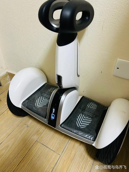 小米九号平衡车不能充电？小米九号平衡车充不上电？-第3张图片-优品飞百科