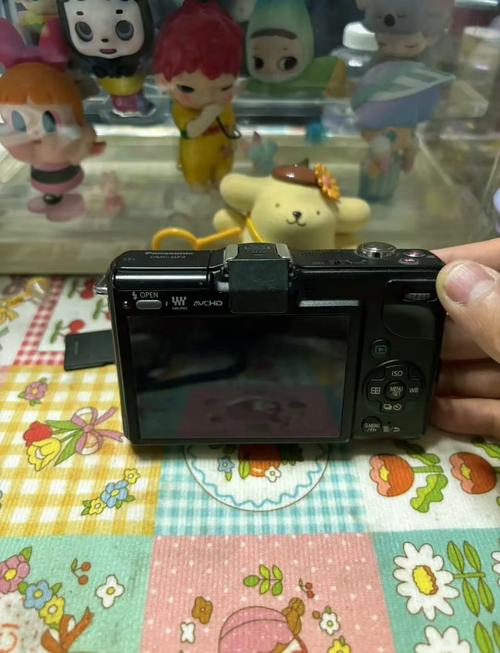 松下gf2内存卡装哪里，松下gf10用什么内存卡-第3张图片-优品飞百科