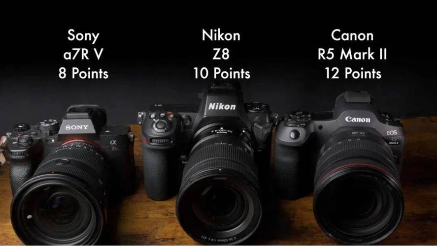 尼康相机好还是索尼相机好，尼康和索尼哪个更好-第2张图片-优品飞百科