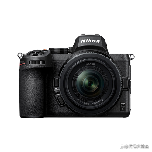 尼康相机好还是索尼相机好，尼康和索尼哪个更好-第5张图片-优品飞百科