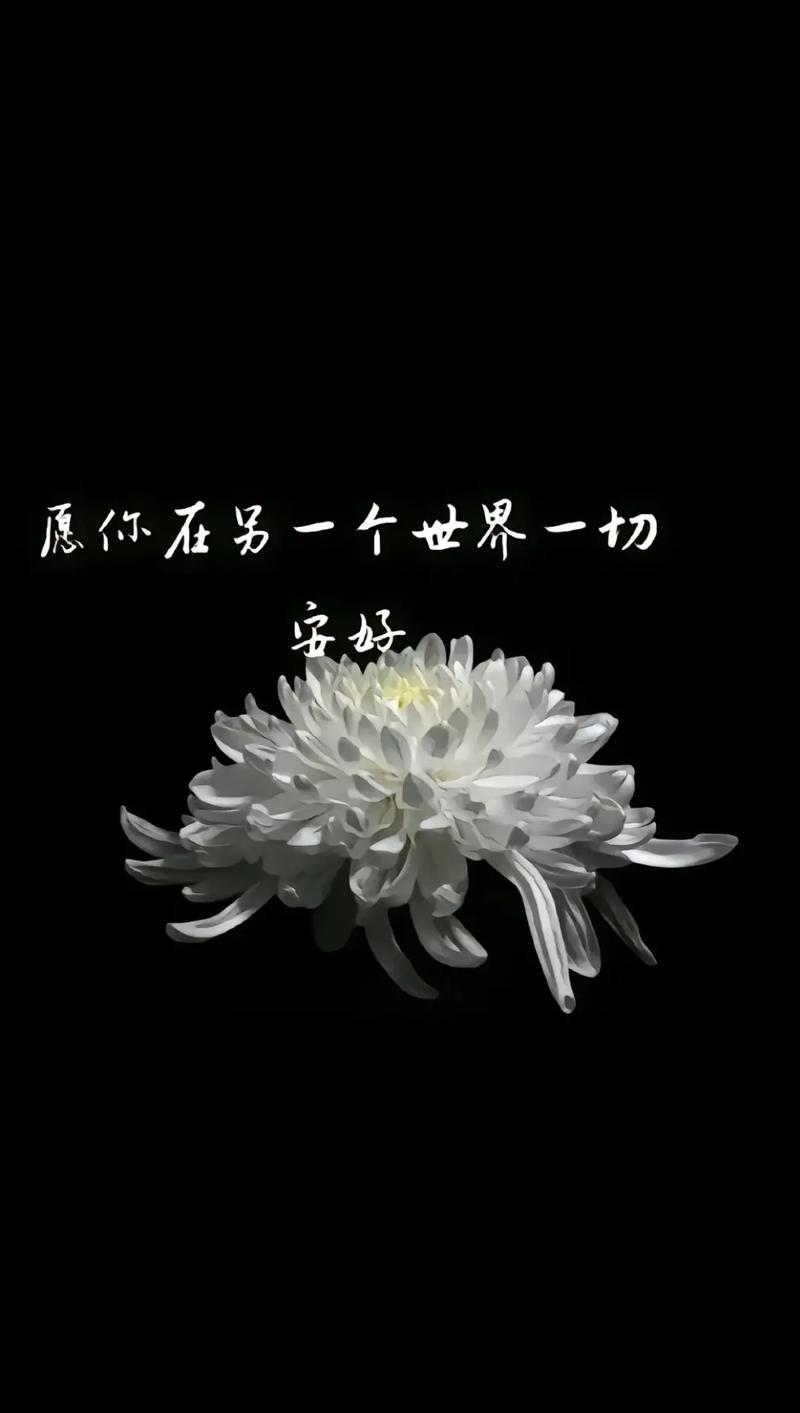 疫情阻挡了，疫情阻挡了出行的脚步,但阻挡不了？-第4张图片-优品飞百科