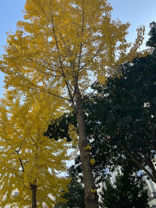 福州天气预报查询，30天福州天气预报查询-第5张图片-优品飞百科