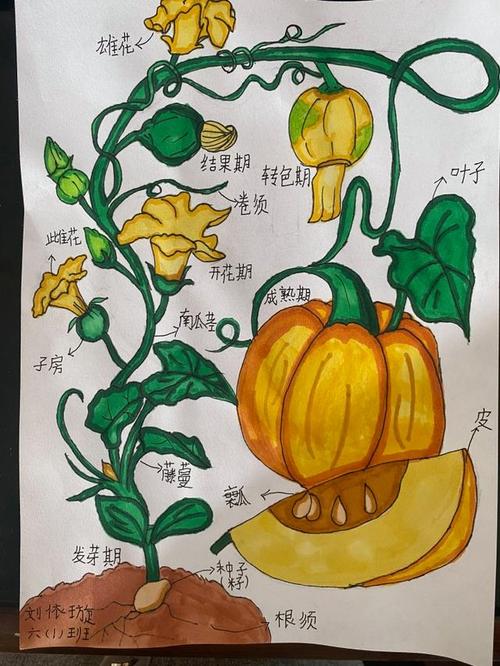 疫情绘画彩铅？疫情绘画8k？-第3张图片-优品飞百科