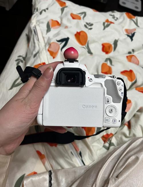 佳能20d实拍？佳能20d什么时候上市的？-第3张图片-优品飞百科